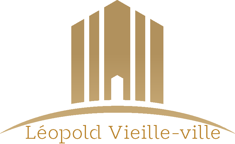 Fichier 1de in france logo de Léopold Vieille-ville